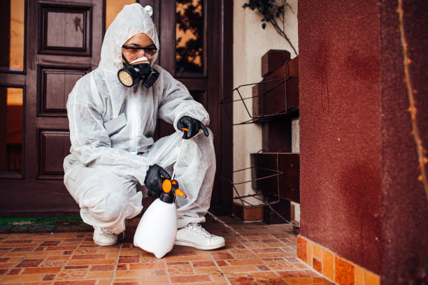Attic and Crawl Space Rodent Treatment in Wheatland